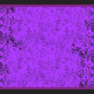 البنفسج الأنيق